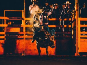 Houston Rodeo Guide