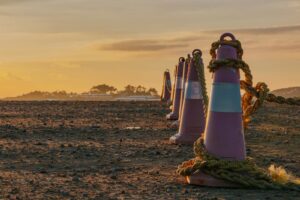 Line of traffic cones with twisted ropes on rocky ground at sunset, offering a scenic outdoor view.