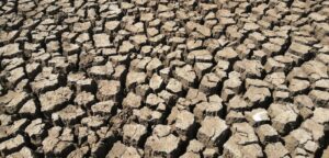 A detailed view of cracked earth during a drought, showcasing dry and barren soil.