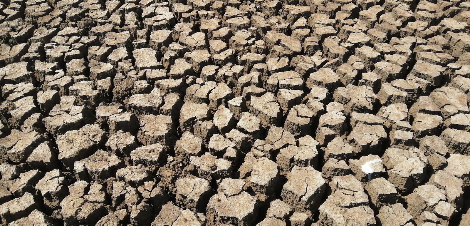 A detailed view of cracked earth during a drought, showcasing dry and barren soil.