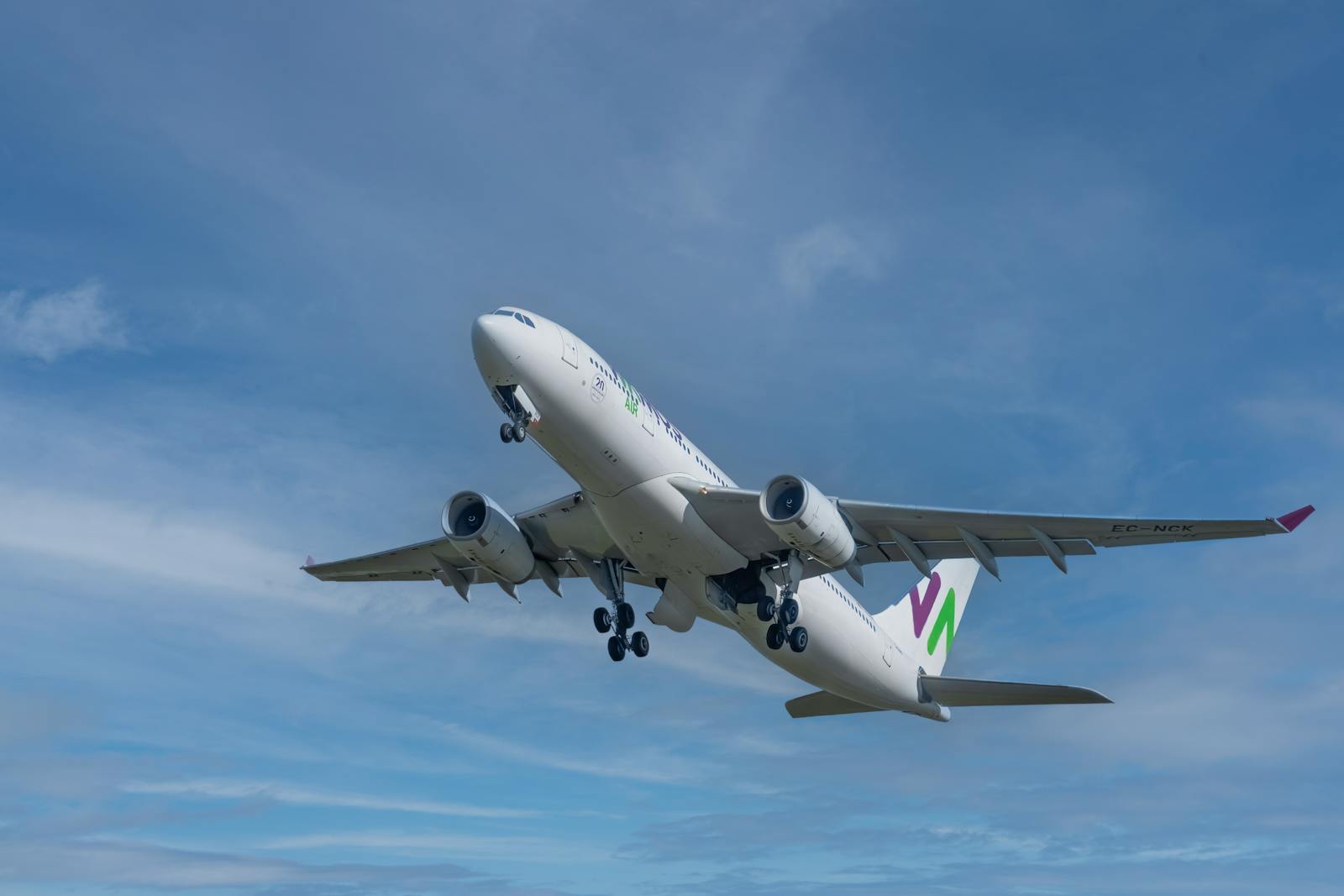 Airplane soaring against blue sky in Auckland, New Zealand.