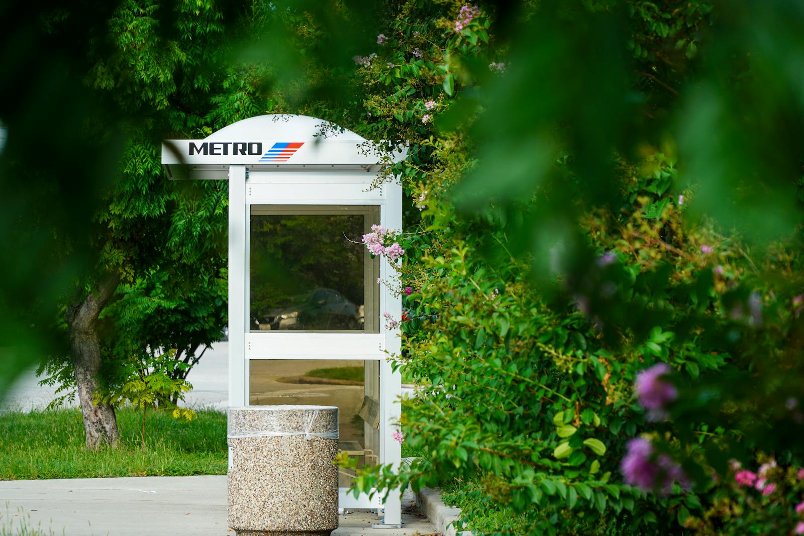 Serene metro bus stop surrounded by lush greenery in Houston, Texas.