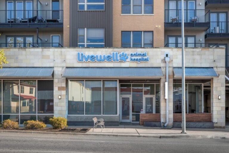 Livewell Animal Hospital Opens New Location in Katy, Expanding Pet Care Options for the Community