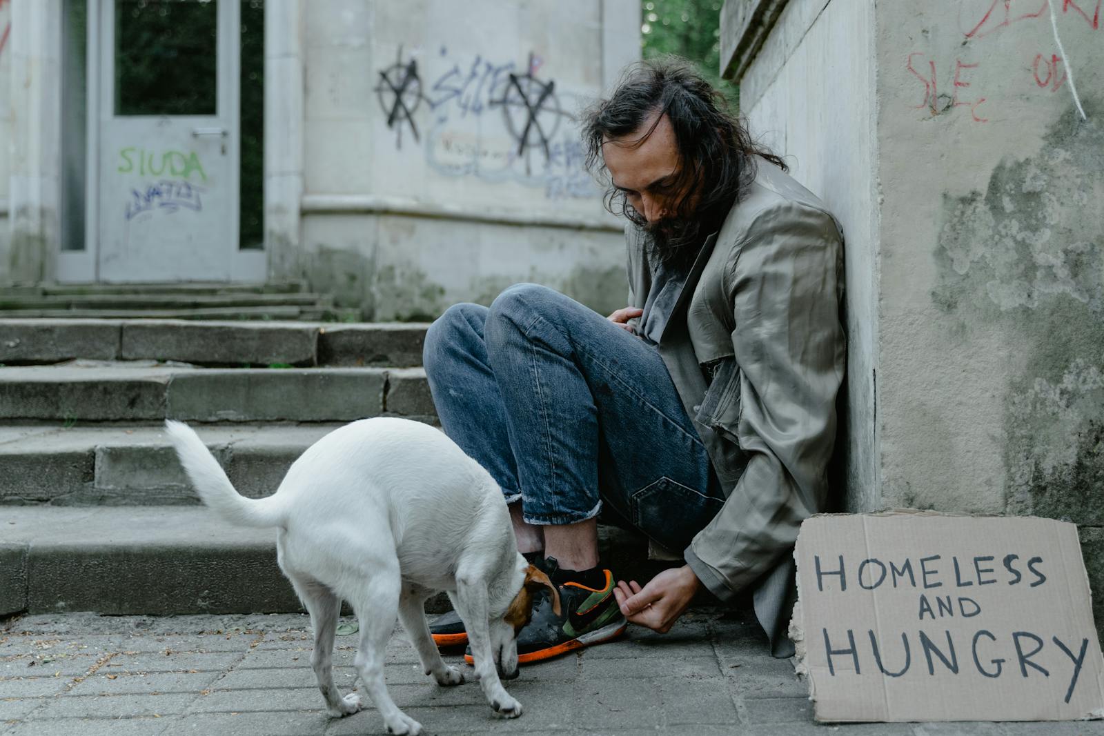A homeless man sits on a street with his dog beside a sign reading 'Homeless and Hungry'.