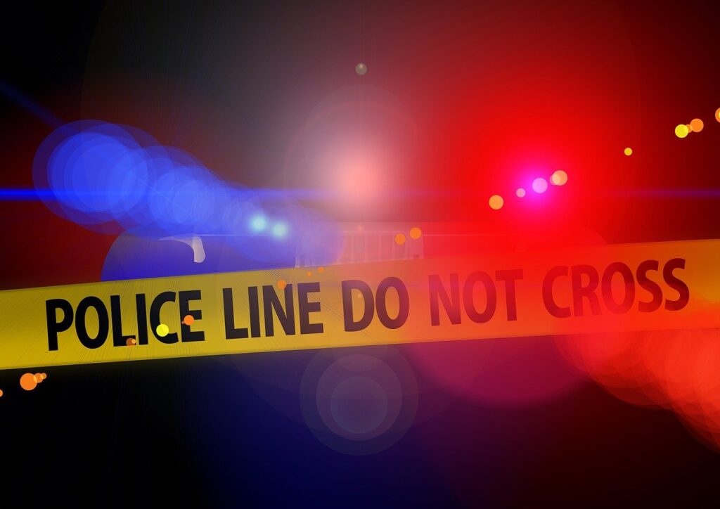 police, crime scene, blue light, detection, criminal case, crime, did, capital crime, examination, sense