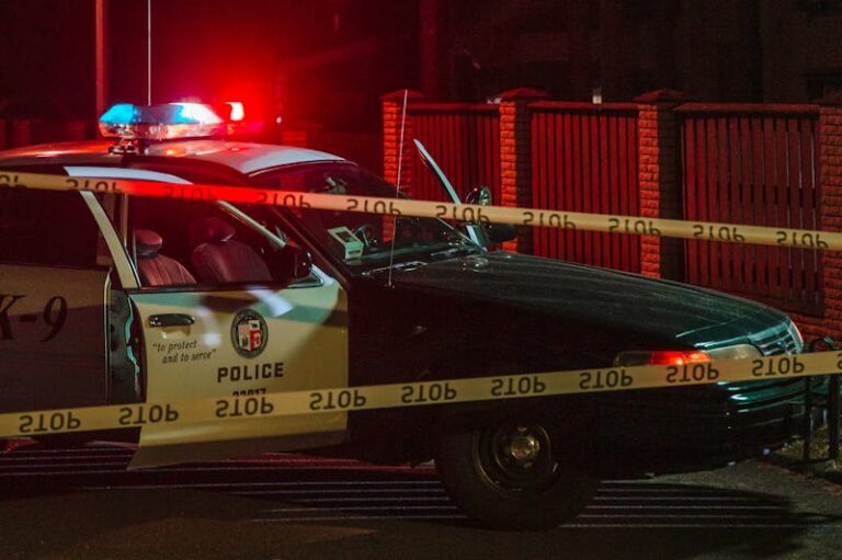 Teen Charged in Deadly Hit‑and‑Run After Houston Party‑Crash Kills Man, Injures Woman