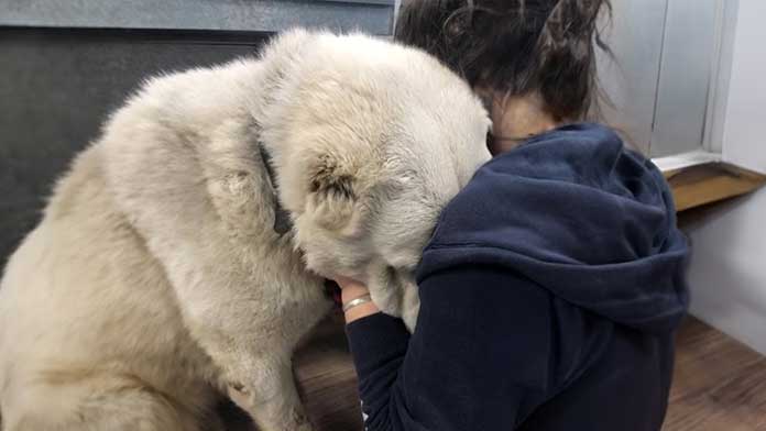 Heartbreaking Moment As Woman Holds Neglected Dog Who Breaks Down In Tears