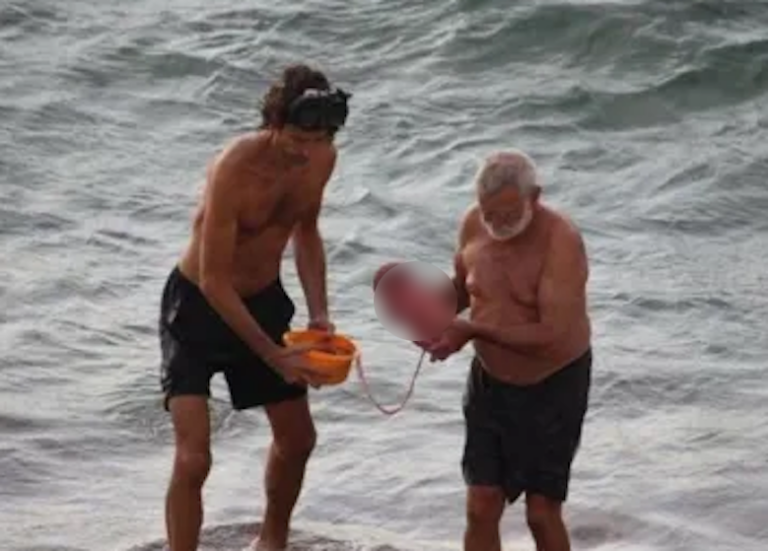 Pregnant woman entered the water, ‘later people see something pops up from the sea’!