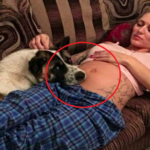 Woman Realizes Her Dog Was Barking To Protect Her And Her Baby
