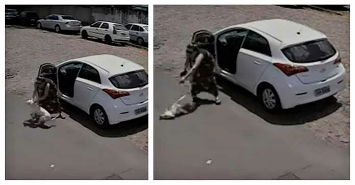 Woman Leaves Disabled Dog Without Front Legs on the Roadside and Drives Away Quickly