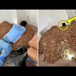 Dog Kept On Growling At The Wall Until Dad Notices The Smell And Tears It Down