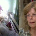 Woman Sets Up Camera For Her Dog—What It Captured Left Her Feeling Sick