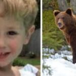 3‑year‑old who survived two freezing nights says a bear kept him warm