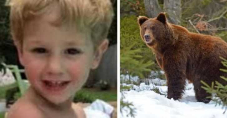 3‑year‑old who survived two freezing nights says a bear kept him warm