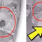 Mom Found In Bed With Son, Cops Horrified When They See What’s Next To Them