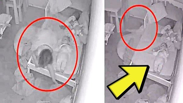 Mom Found In Bed With Son, Cops Horrified When They See What’s Next To Them