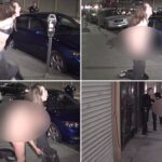 A 32‑year‑old woman led LA police on a high‑speed chase — then stripped naked as they moved in to arrest her