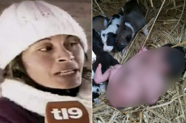 A stray dog rescued an abandoned infant from a trash pile; a woman’s later discovery revealed the full story