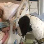 An 11-Year-Old With a Rare Condition Found Freedom Thanks to One Extraordinary Dog