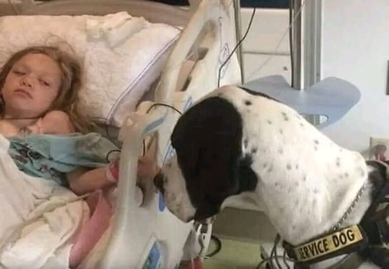 An 11-Year-Old With a Rare Condition Found Freedom Thanks to One Extraordinary Dog