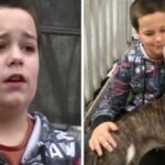 Police Arrive After a Break‑In and Are Shocked by What the Family’s Pit Bull Did