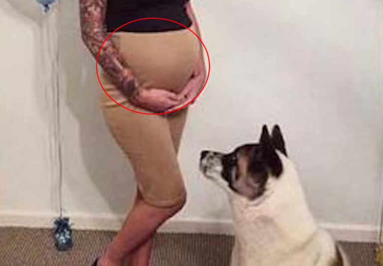 Pregnant Mom Notices Her Dog Acting Unusually Toward Her Belly — The Doctor’s Explanation Leaves Everyone Stunned